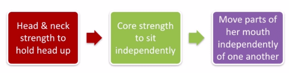 head and neck control, core strength to stay upright and fine motor skills