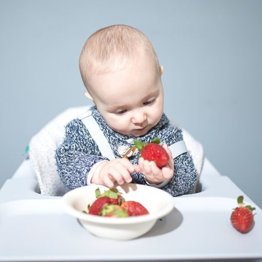 Only finger foods for baby to help with introduction to solid foods