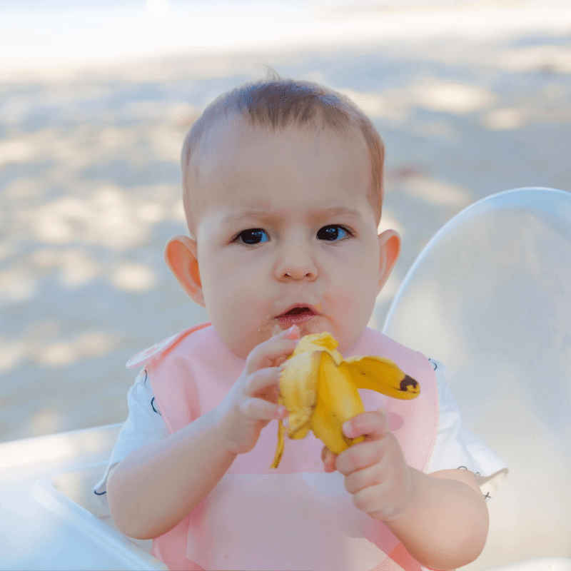 easy-and-practical-baby-led-weaning-travel-food-ideas-for-babies-6