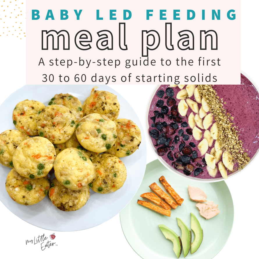 baby led feeding meal plan