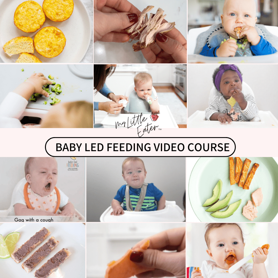 Baby Self Feeding at 6 Months - Little Bits of
