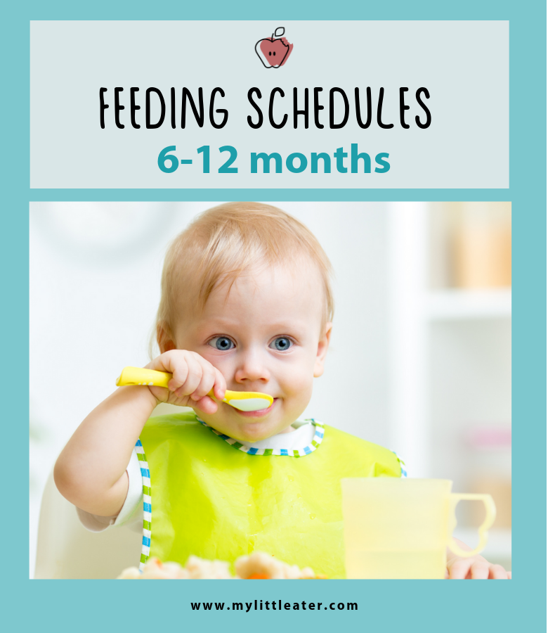 feeding schedule baby