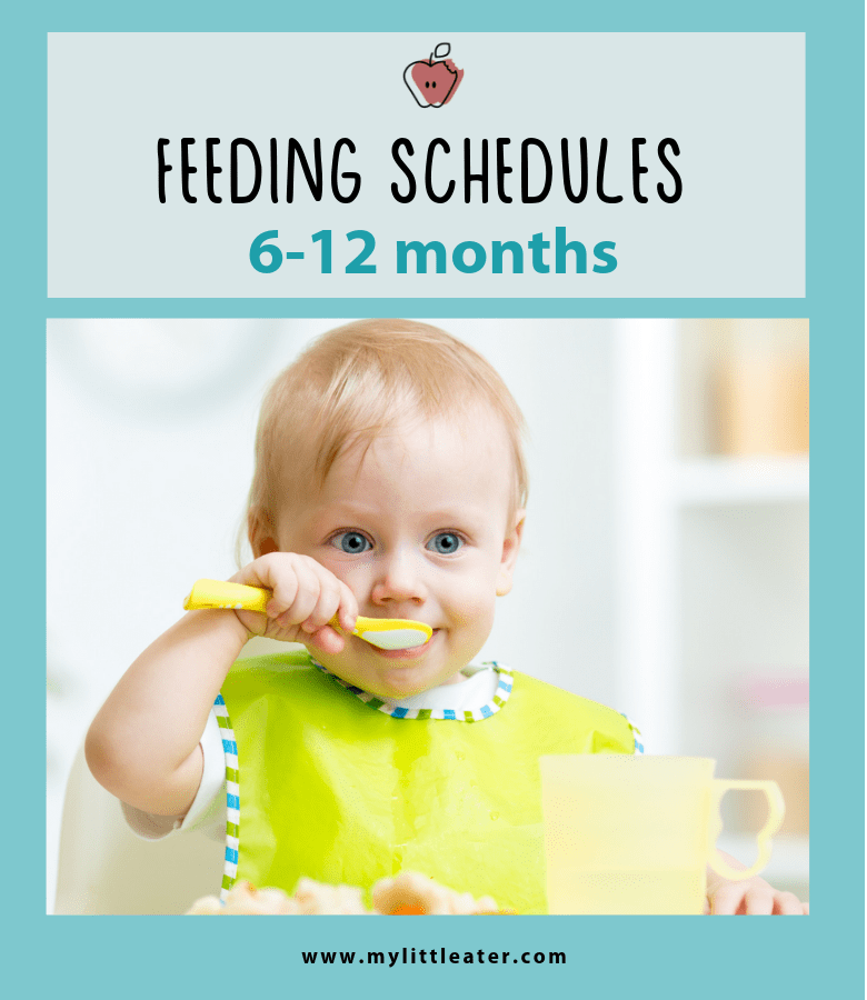 baby-feeding-schedule-artofit