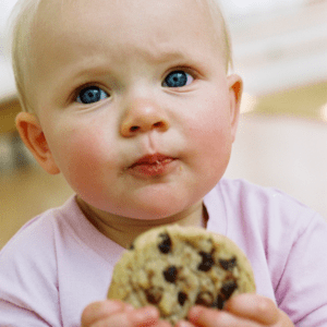 Main image for the article [How to raise a toddler to have a healthy relationship with sugar]. Pictured is a toddler holding a chocolate chip cookie.
