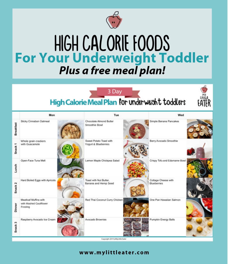 High Calorie Foods To Help Your Underweight Toddler - My ...