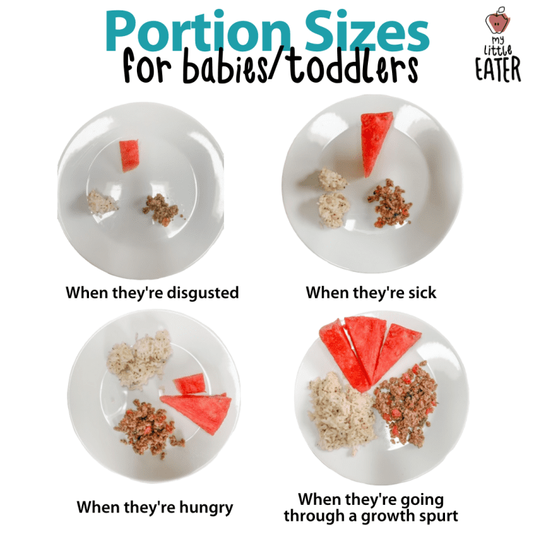 Portion Sizes Vs Serving Sizes How Much Does Your Toddler Actually   Copy Of Building Babys Plate 3 768x768 