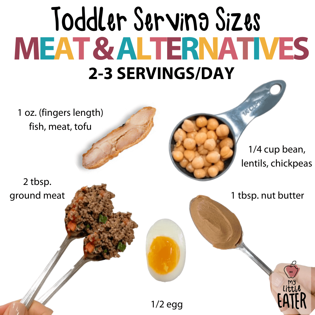 Toddler portion sizes for meat and alternatives