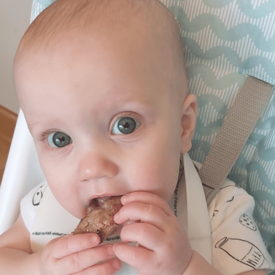 meat baby led weaning