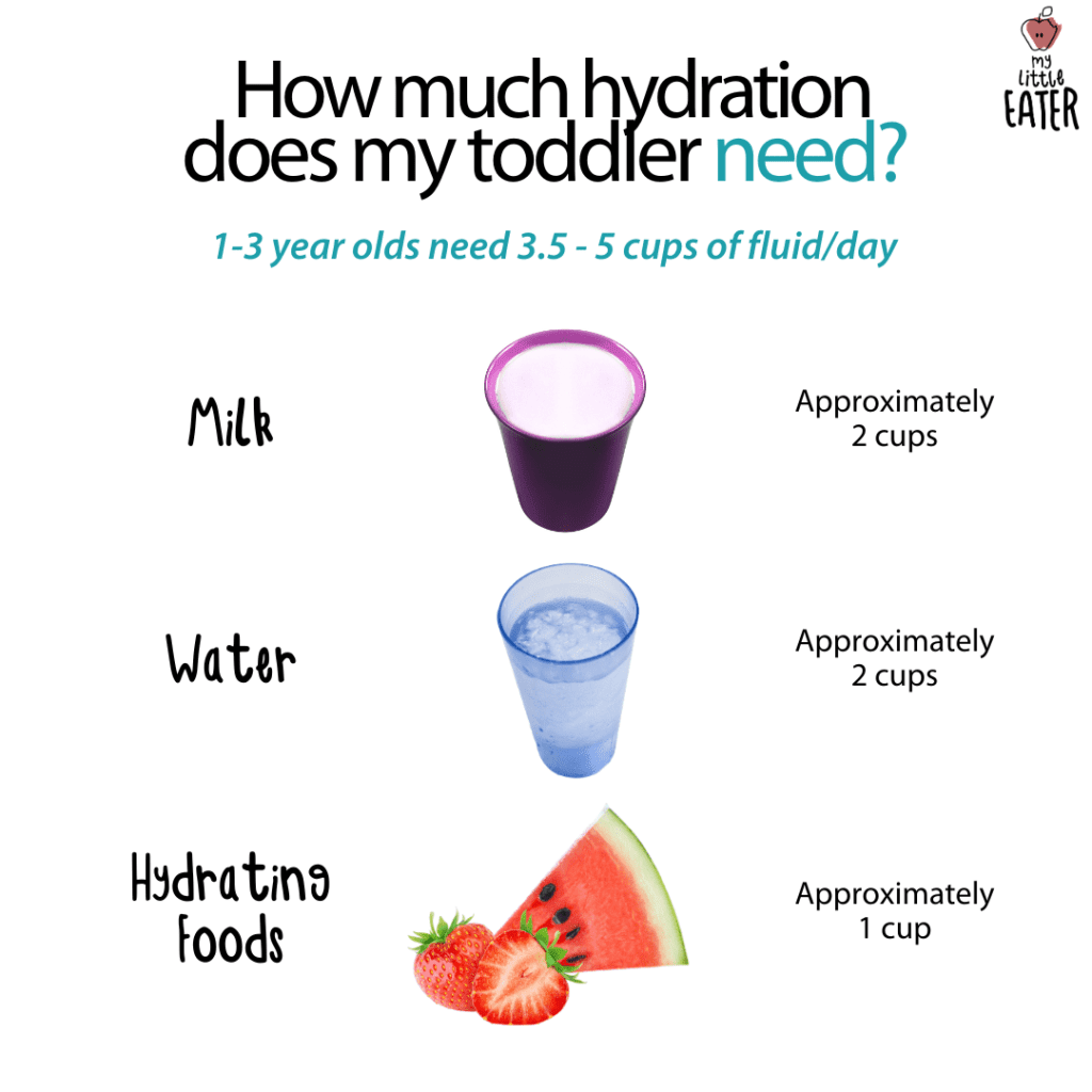 Hydration Tips For Toddlers - My Little Eater