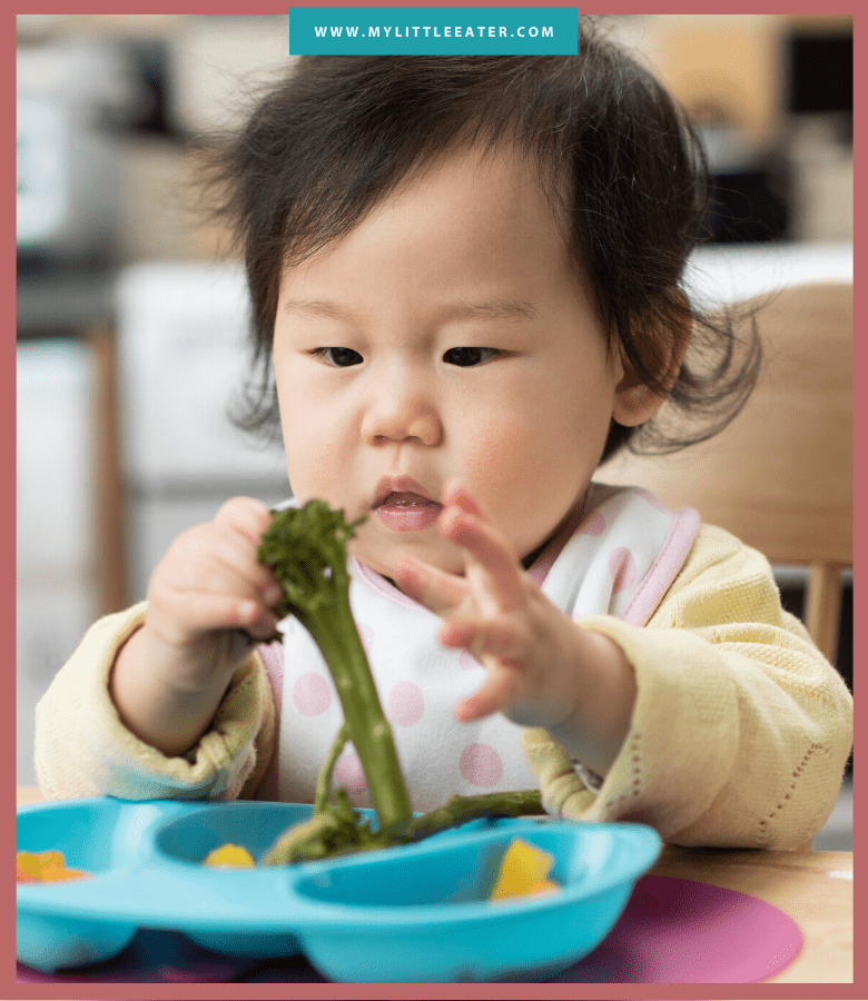infant in high chair holding broccoli ready to eat using baby led weaning method
