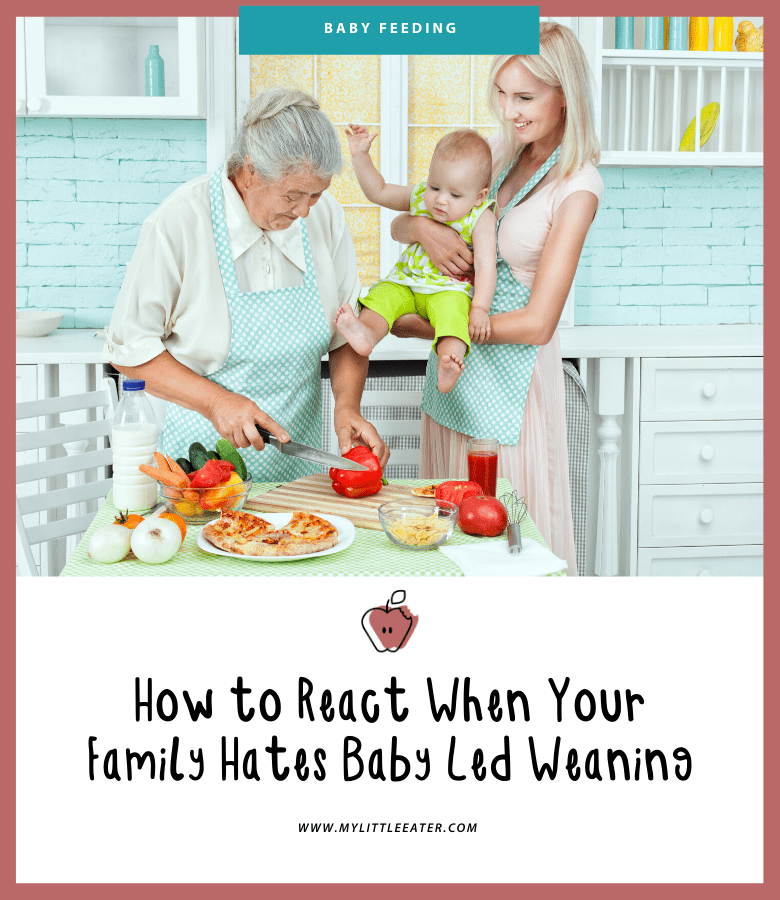 How To React When Your Family Hates Baby Led Weaning My Little Eater Feel Confident Raising Healthy Little Eaters