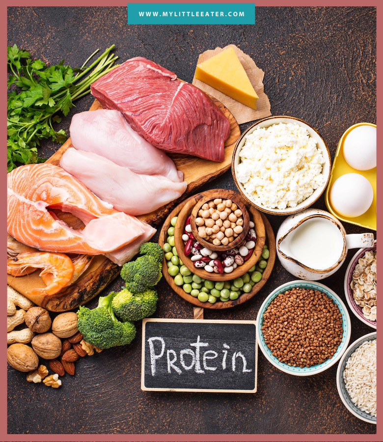 image includes various proteins including: salmon, chicken, beans, cheese, eggs, broccoli, milk, and nuts, with a chalkboard below the food that says "protein"