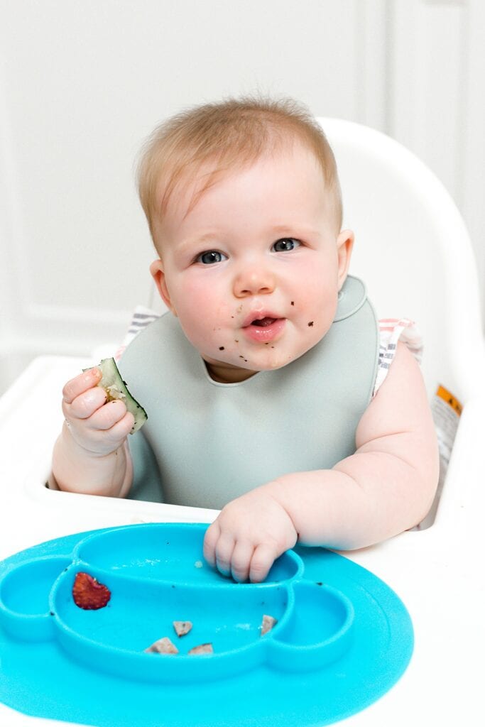 baby food for travelling by air