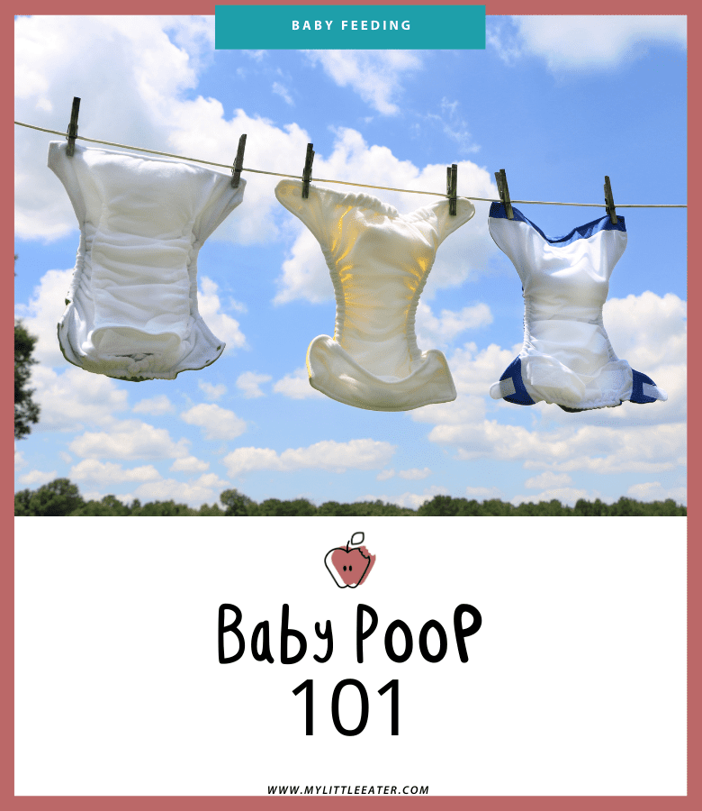 Main image for the article "Baby Poop 101", shows 3 diapers hanging on a clothesline outside.