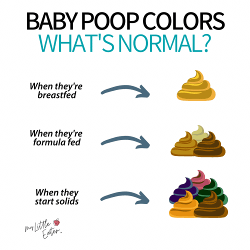 Baby Poop: What's Normal, What's Not & How Baby's Diet Affects It - My ...