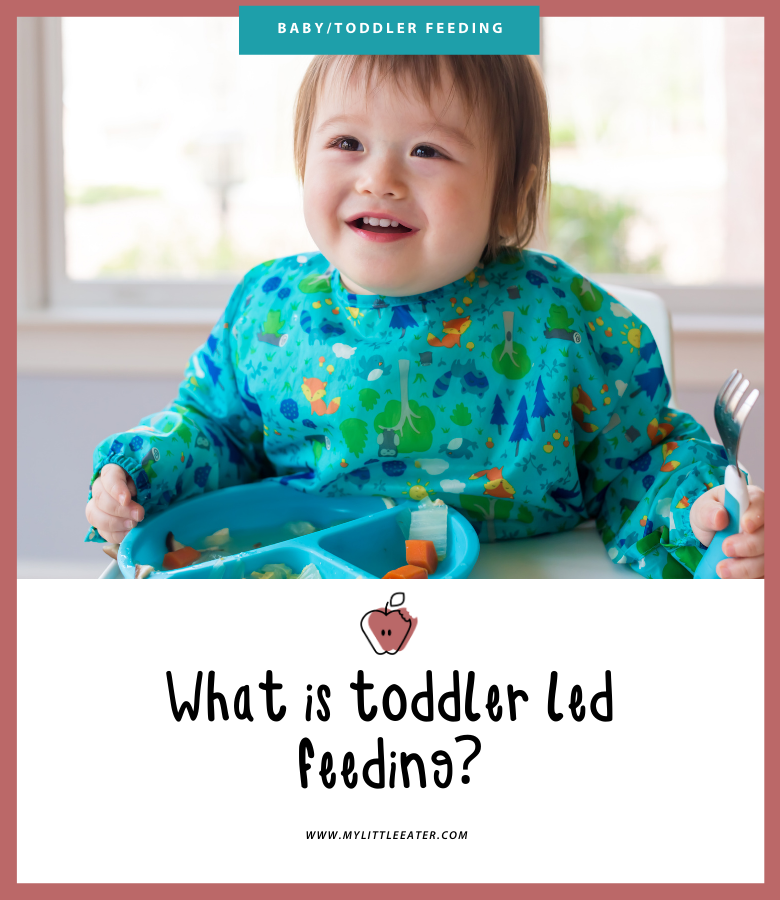 what is toddler led feeding?