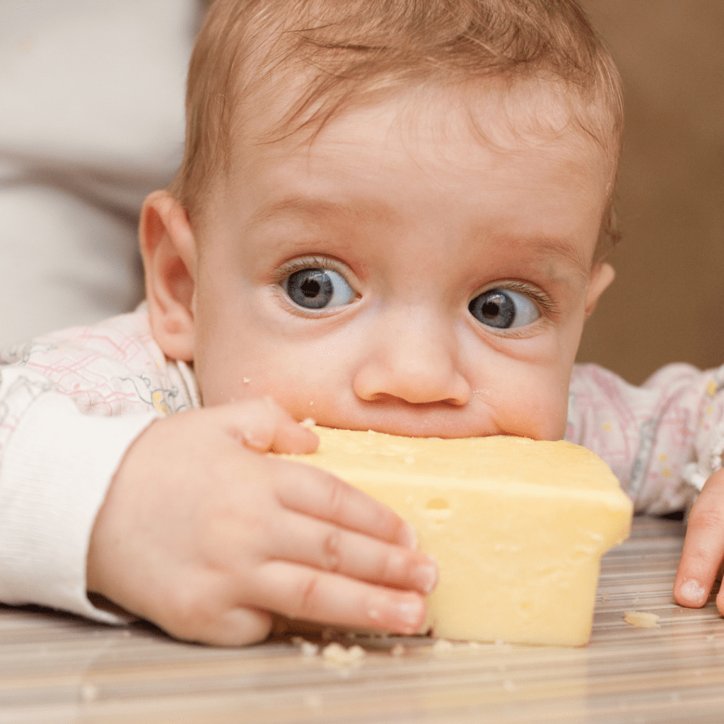 The Truth About Salt for Babies My Little Eater