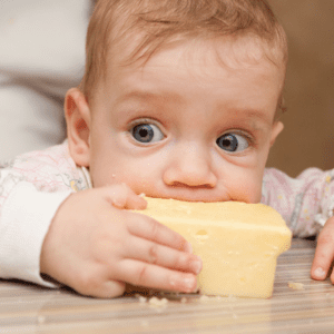 Featured image for the article "The Truth About Salt for Babies". Pictured is a baby chewing on a brick of cheese.