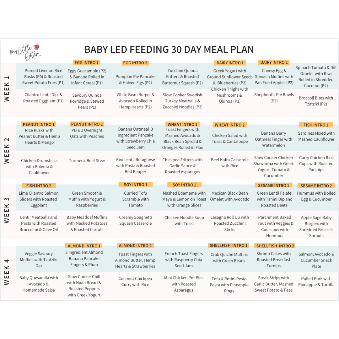 30 Day BLF Meal Plan - My Little Eater