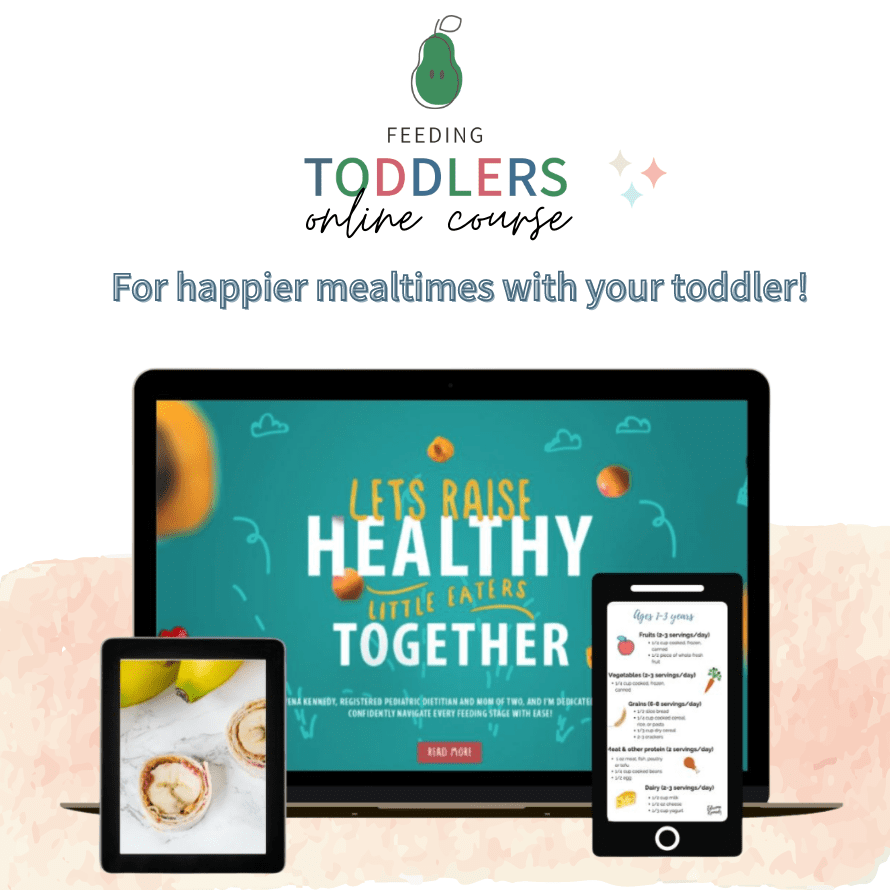 Feeding Toddlers online course by My Little Eater