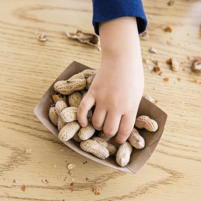 Top tips for safely serving peanuts to babies and toddlers My Little Eater