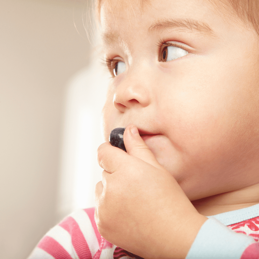 Episode art for episode: "#75: SEASON FINALE - My Baby’s a Bottomless Pit! How Do I End Mealtimes while Respecting Hunger Cues?" Pictured is a baby eating a blueberry.