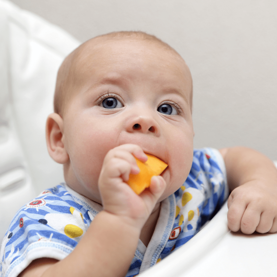 Baby eating chunk of roasted pumpkin