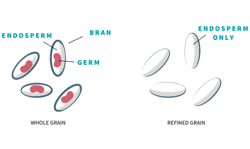 whole grains vs refined grains