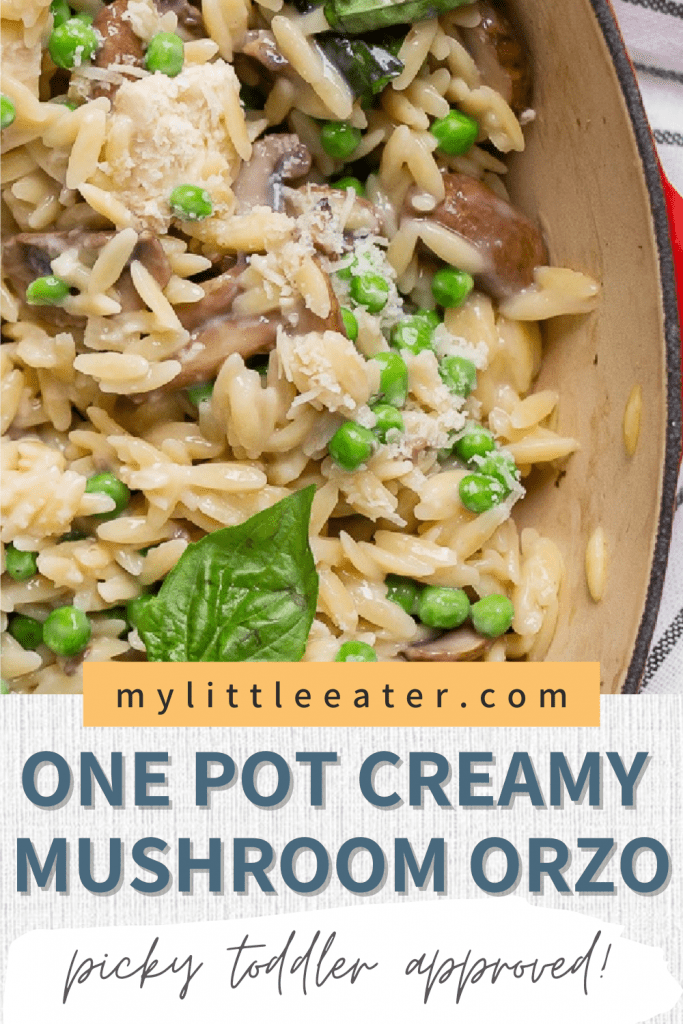 Healthy Toddler Creamy Mushroom Orzo Recipe with Peas & Chicken