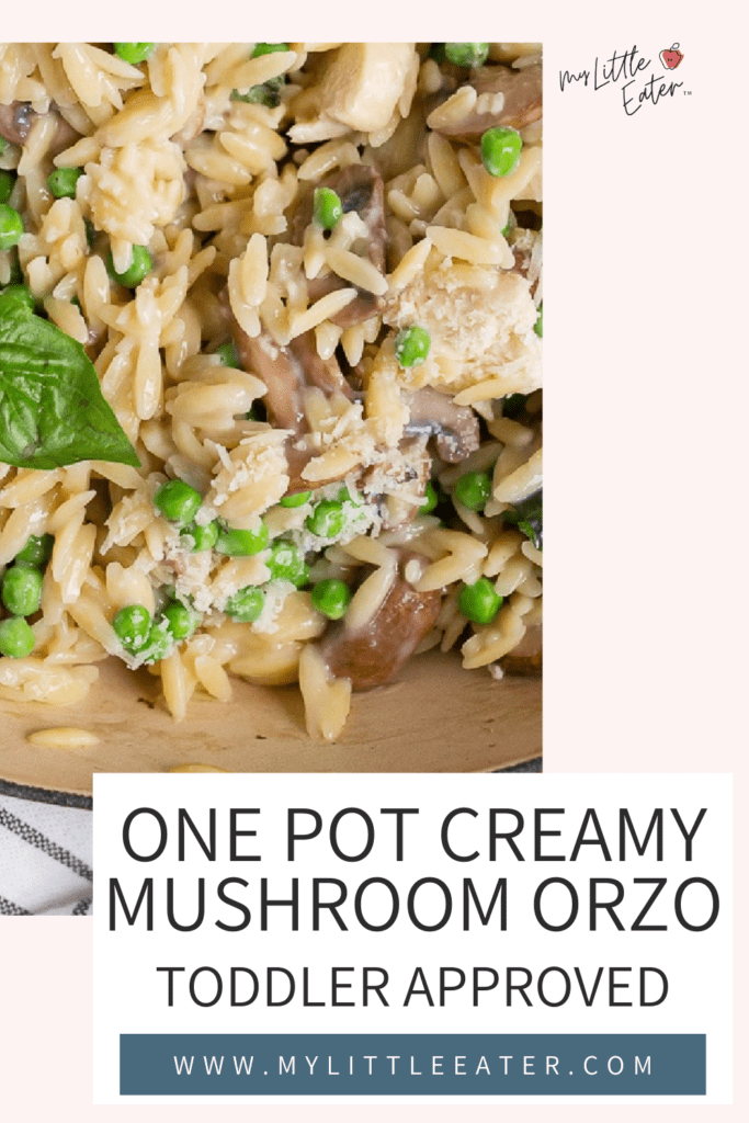 healthy creamy mushroom orzo pasta with chicken and vegetables