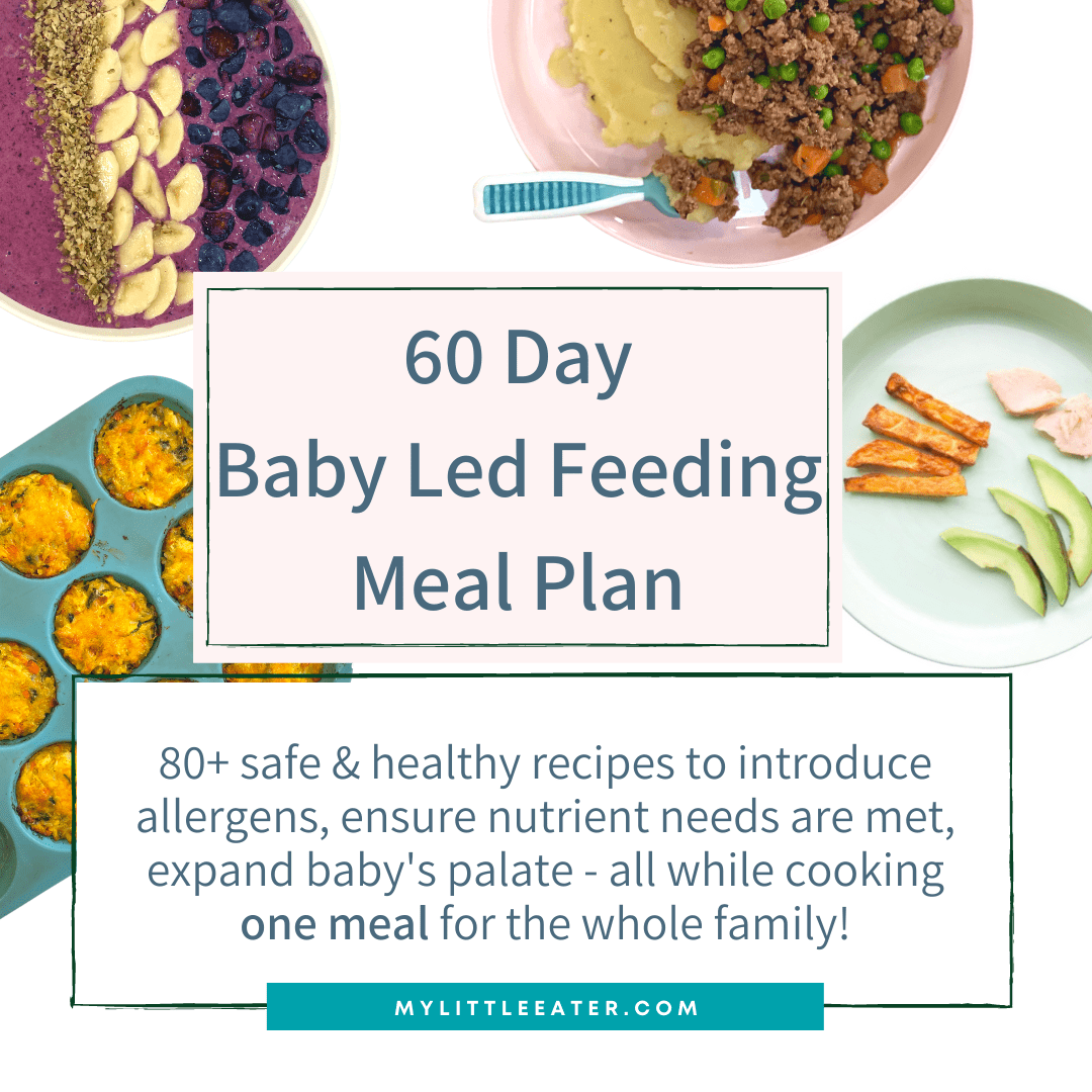 Baby led weaning meals for the whole family in a 60 day meal plan
