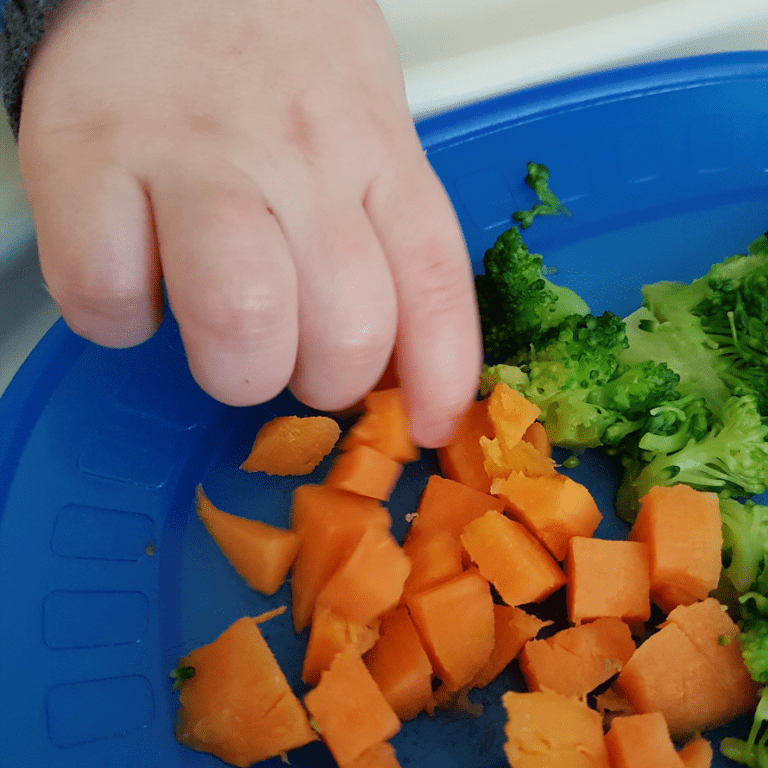 The best snack guide make easy and healthy toddler snacks for 1 year olds and up My Little Eater
