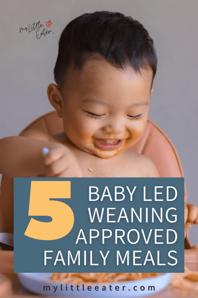 baby led weaning recipes for family meals