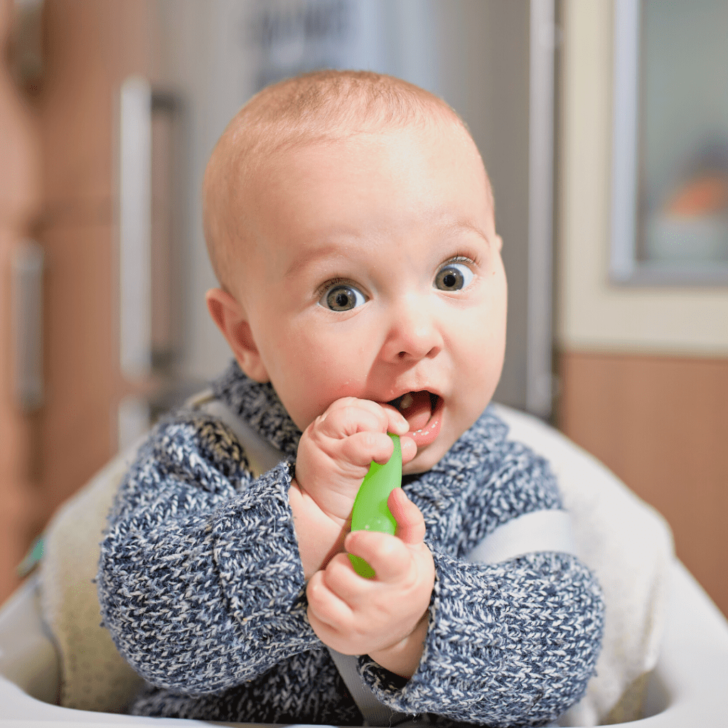 beef for baby led weaning