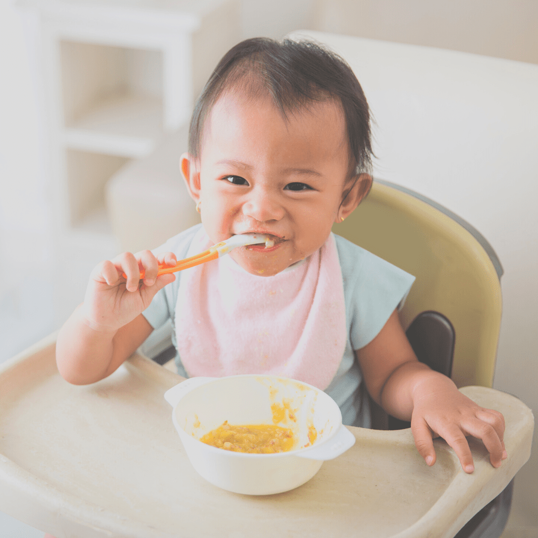 Ground beef for babies how to serve it and the best beef recipe My