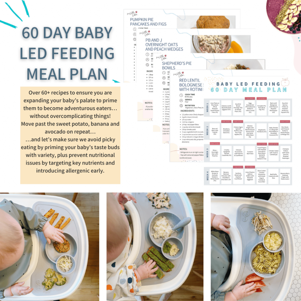 60 day baby led feeding meal plan baby recipes