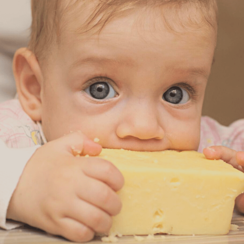 nutritional benefits of serving cheese to babies