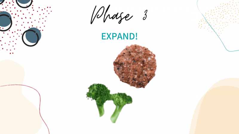 How to move your baby from purées to finger foods with the Texture ...