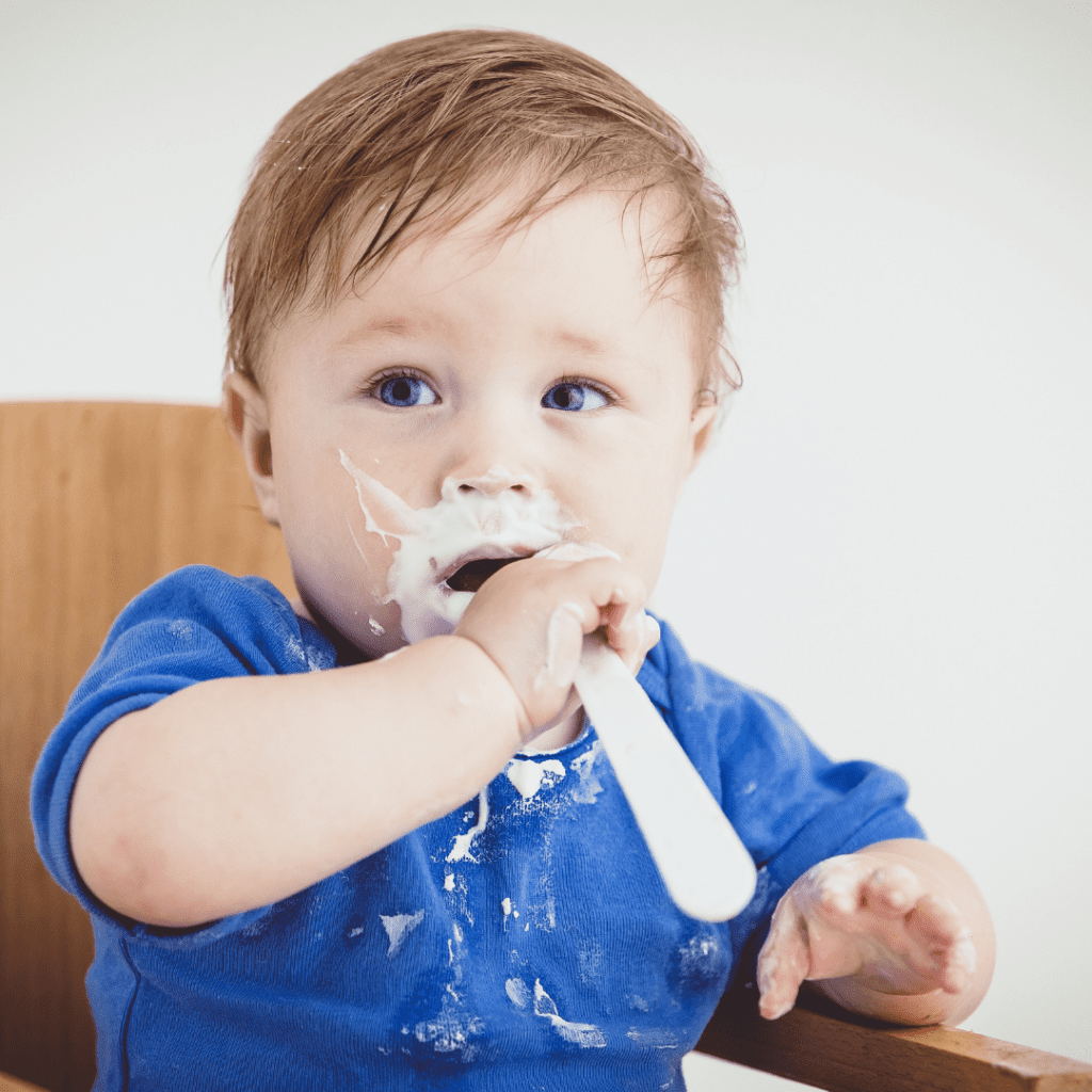 hunger and fullness cues; food intake for baby's meals during baby led weaning