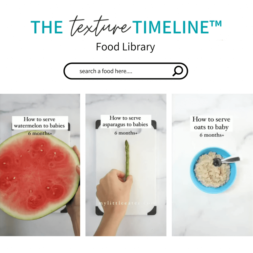 The Texture Timeline Food Library
