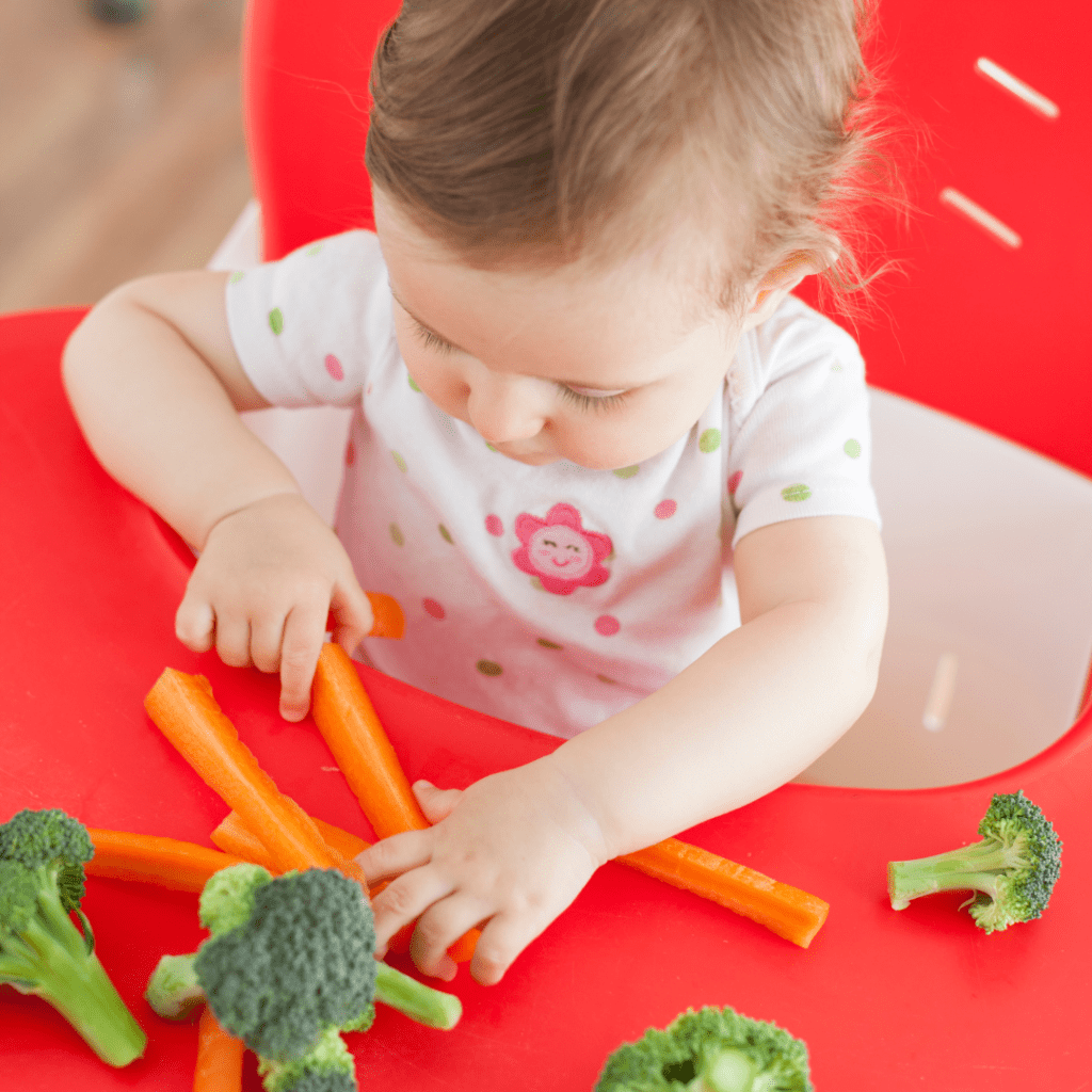 caregiver guide for starting solids