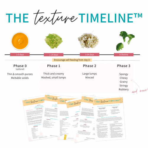 Texture Timeline Workshop (BLW but make it purees) - My Little Eater