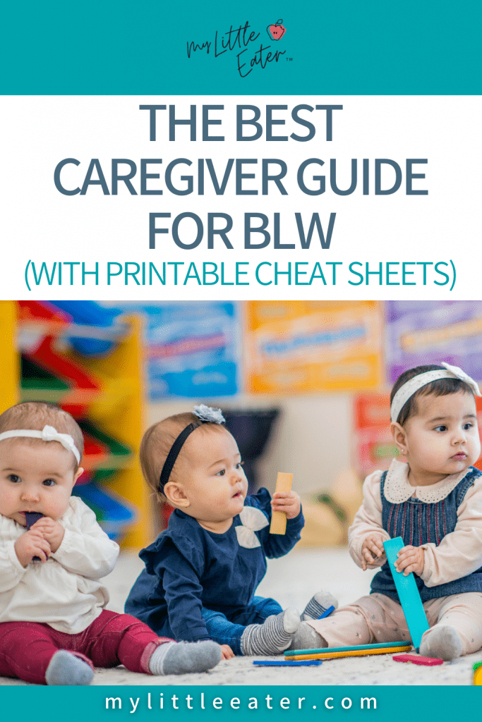 caregiver guide to blw