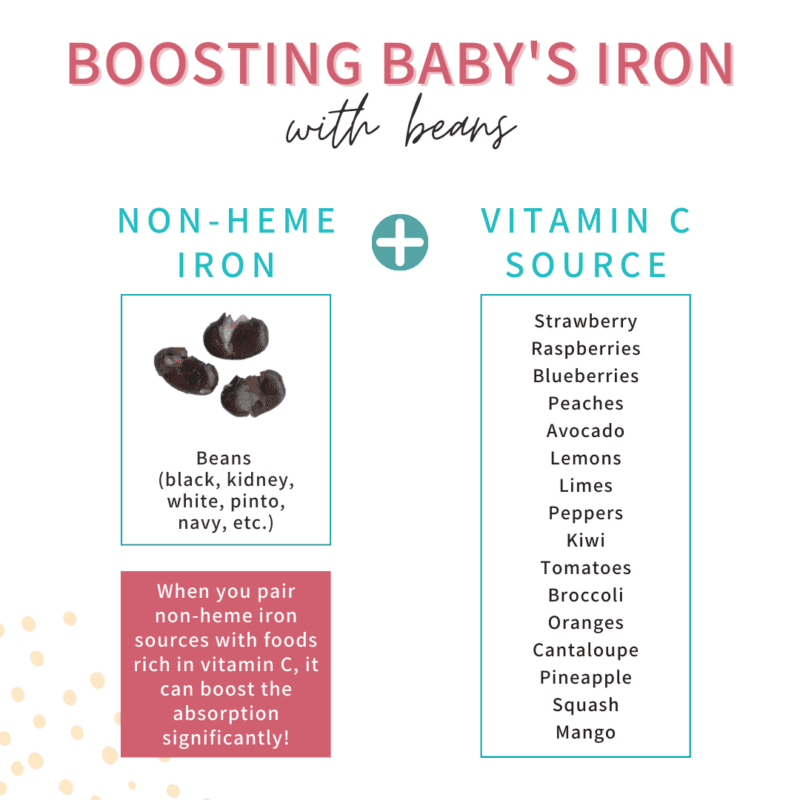 Beans for baby how to serve them and an easy BLW recipe My Little Eater