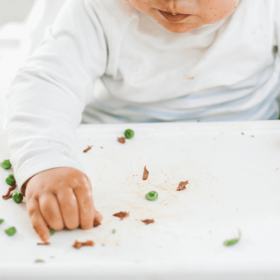 Beans for baby how to serve them and an easy BLW recipe My Little Eater