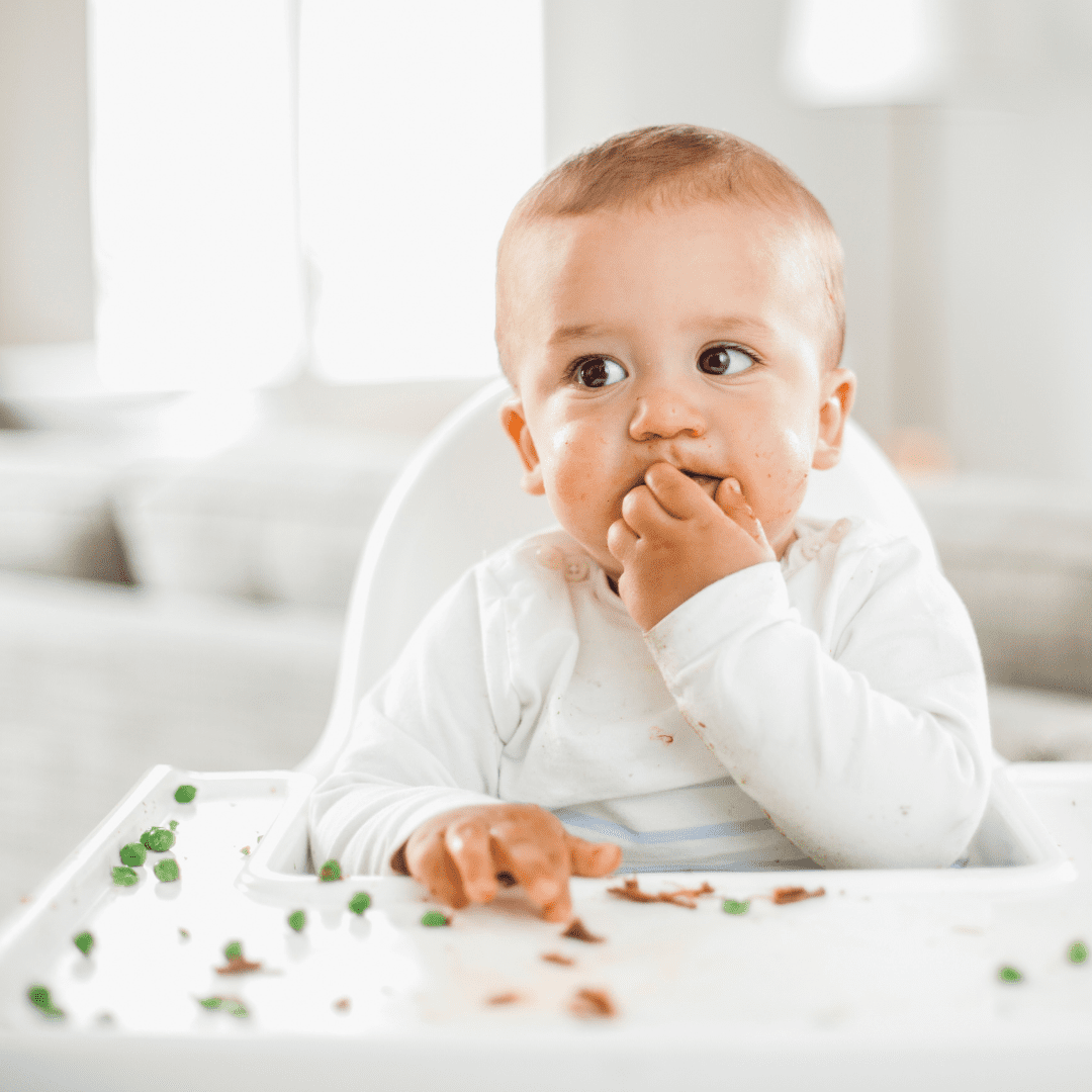 Beans for baby how to serve them and an easy BLW recipe My Little Eater