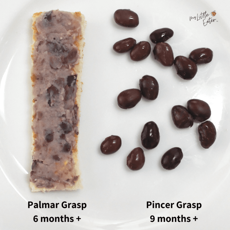 Beans for baby how to serve them and an easy BLW recipe My Little Eater