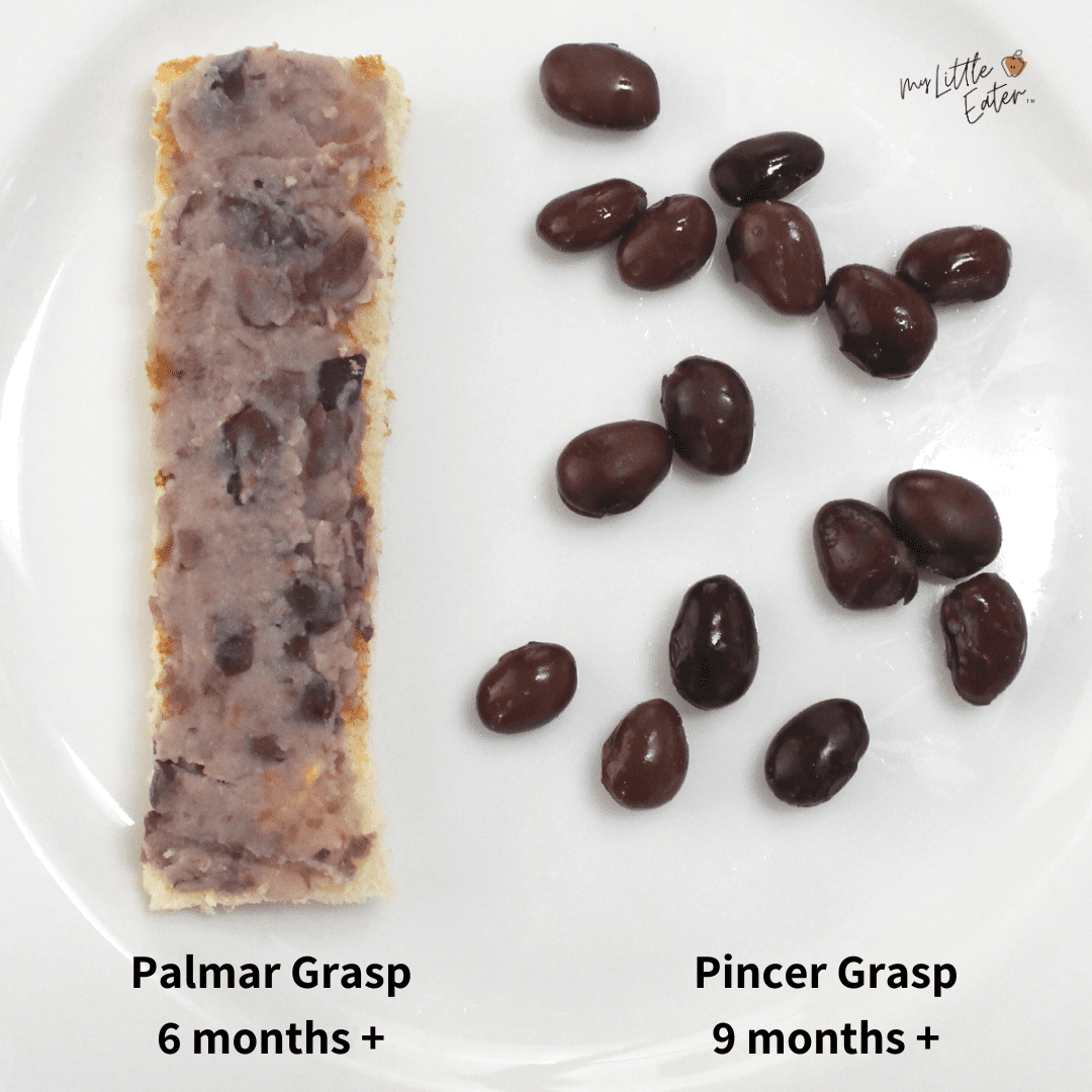 Beans for baby how to serve them and an easy BLW recipe My Little Eater