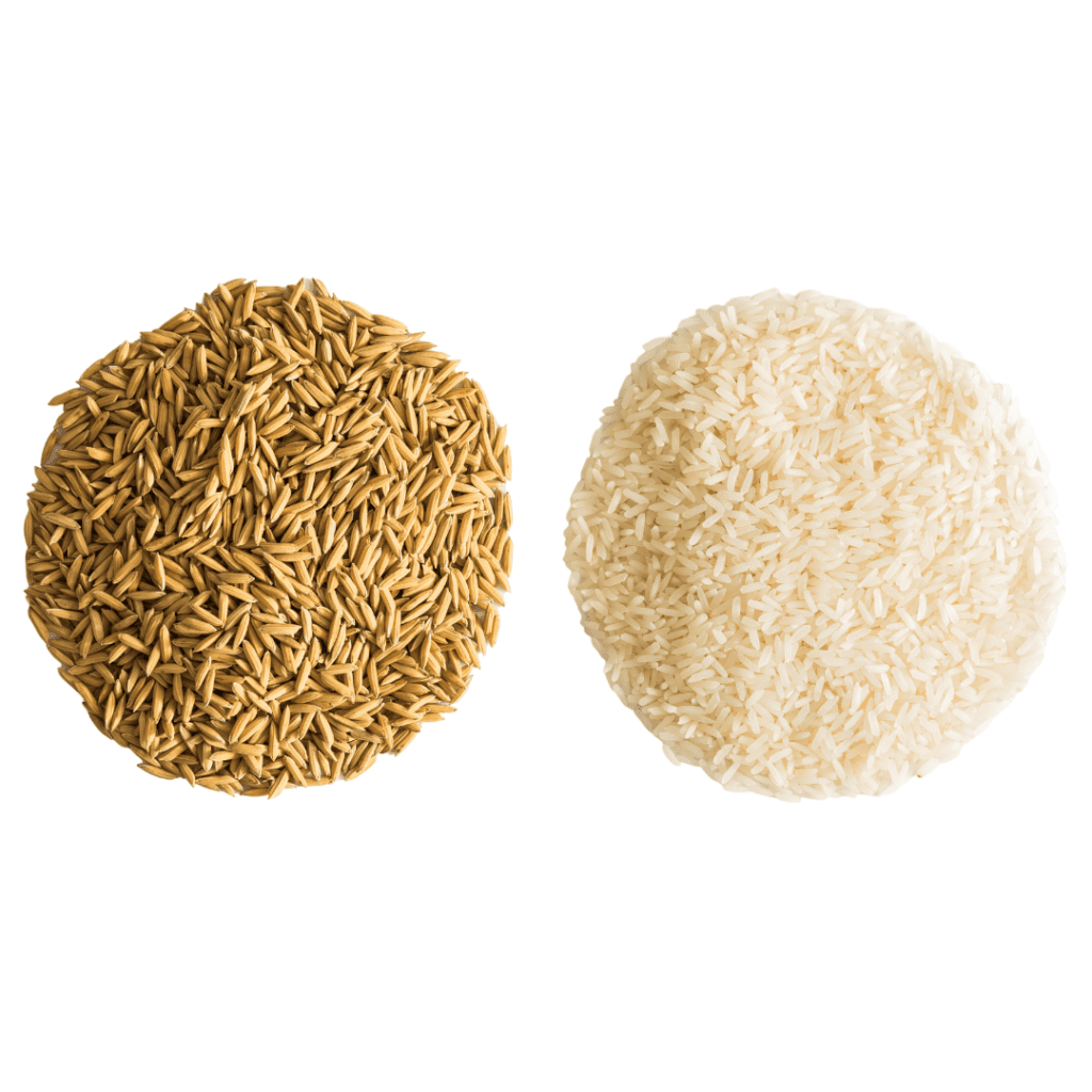 starting solids rice; brown rice vs. white rice