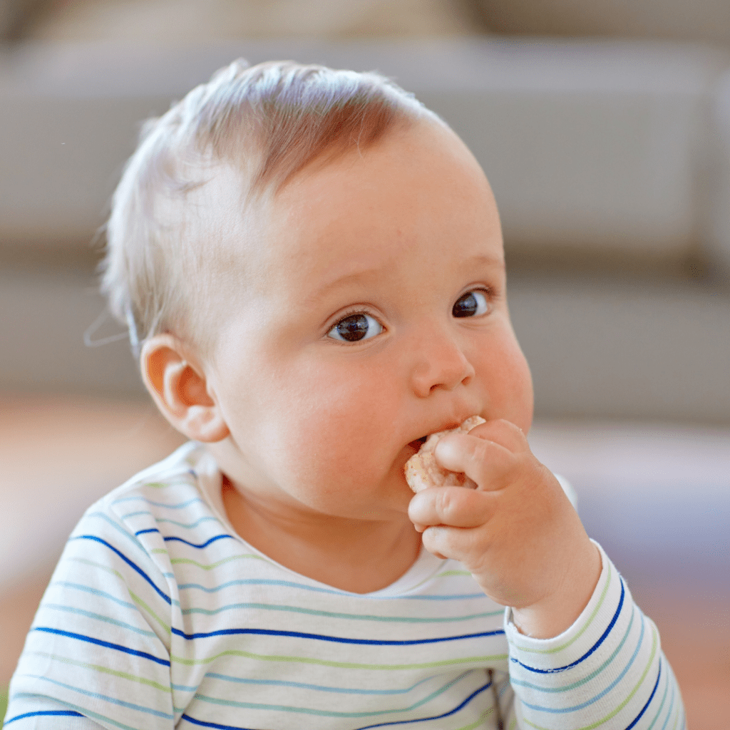 safest baby food without toxic heavy metals